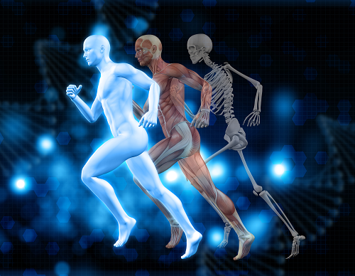 How To Make Bones Stronger | 5 Essential Nutrition and Protein For Our Bones